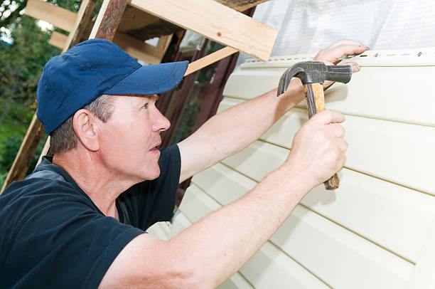 Best Custom Trim and Detailing for Siding  in Morris, IL