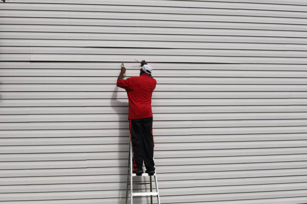 Best Aluminum Siding Installation  in Morris, IL